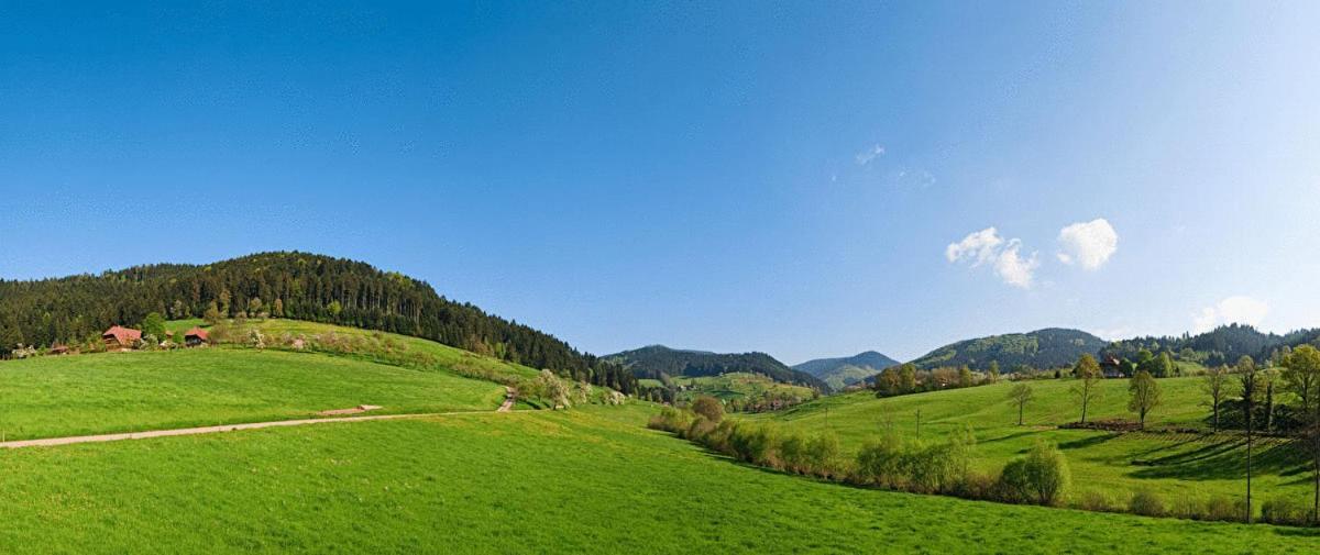 Hotel Fuxxbau Fischerbach Dış mekan fotoğraf